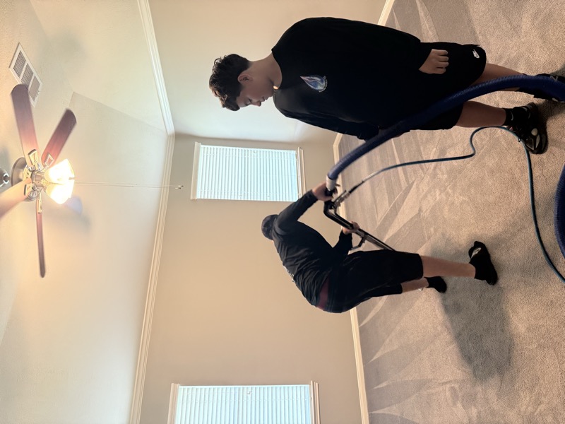 Carpet cleaning