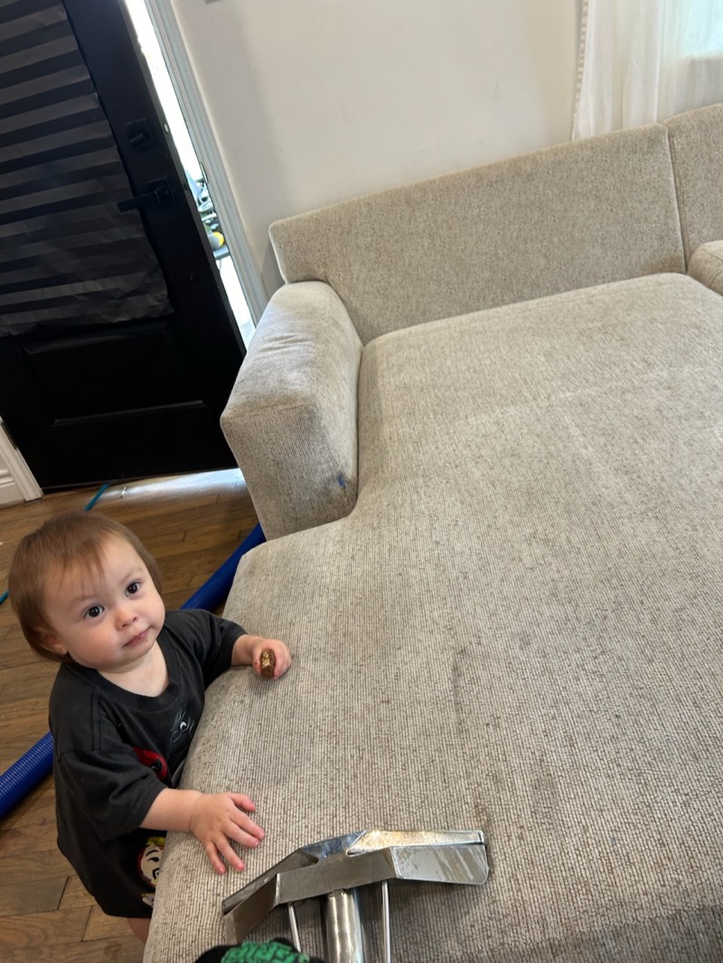 Upholstery cleaning Houston